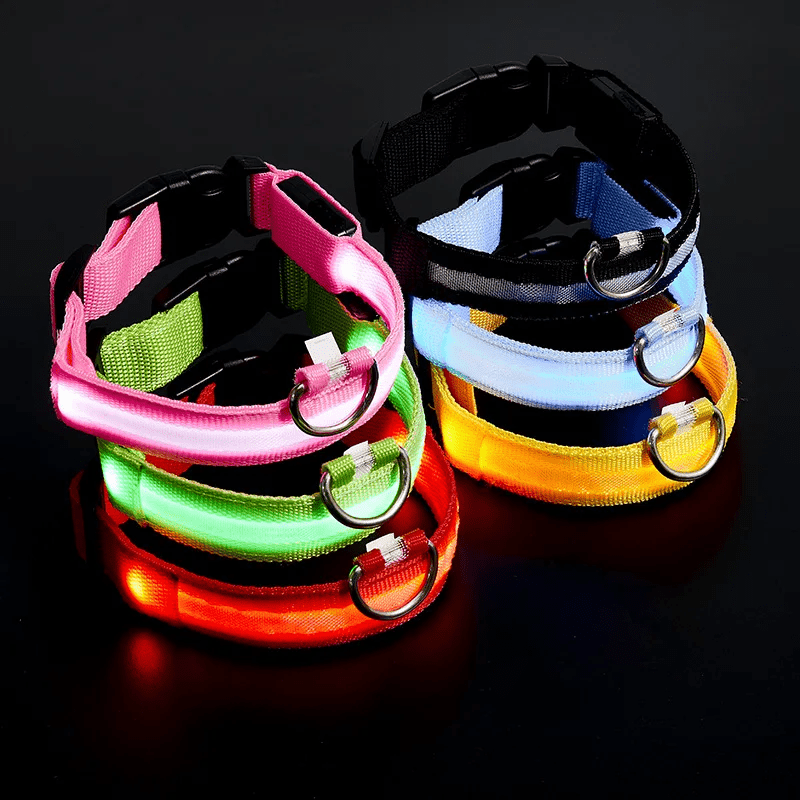 Pawzioo™ High-Brightness LED Dog Collar – Durable & Rechargeable