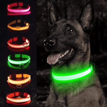 Pawzioo™ High-Brightness LED Dog Collar – Durable & Rechargeable