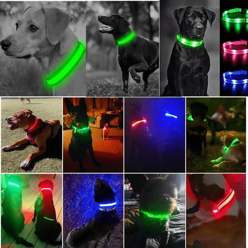 Pawzioo™ High-Brightness LED Dog Collar – Durable & Rechargeable