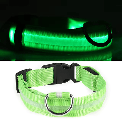 Pawzioo™ High-Brightness LED Dog Collar – Durable & Rechargeable