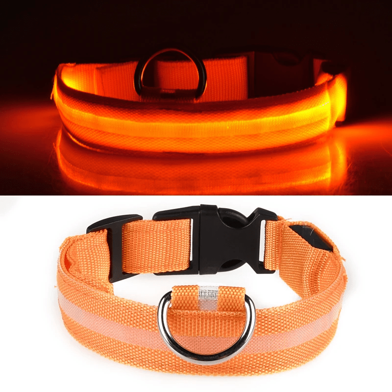 Pawzioo™ High-Brightness LED Dog Collar – Durable & Rechargeable