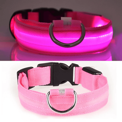 Pawzioo™ High-Brightness LED Dog Collar – Durable & Rechargeable